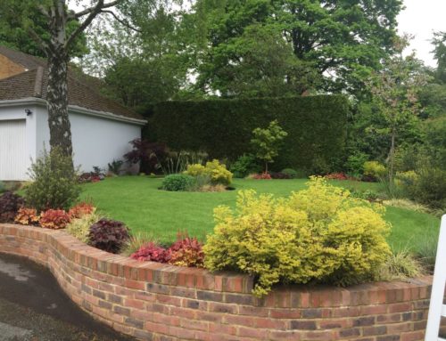 Front Garden & Driveway redesign in Berkhamsted