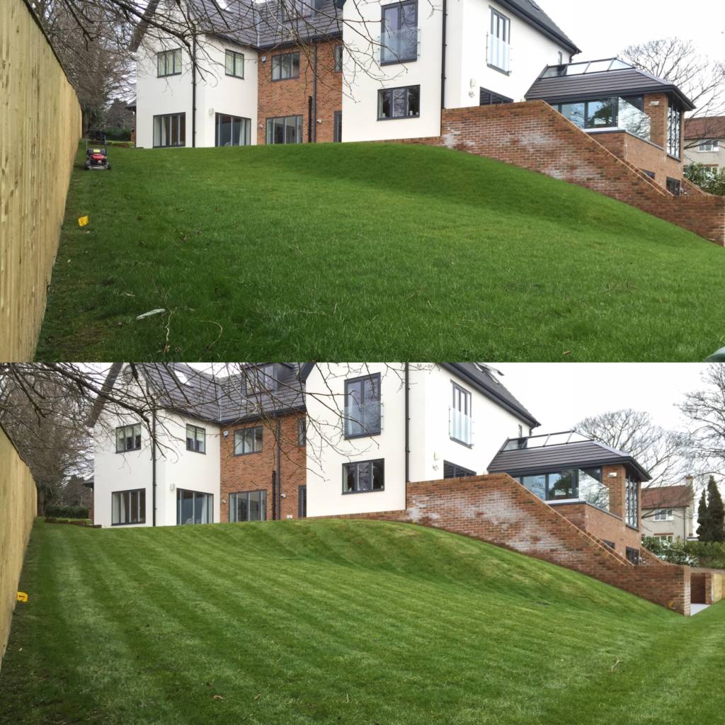 Before/After Lawn Cut
